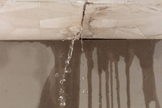 Professional Water Damage Inspection technician working in Eastport, ME